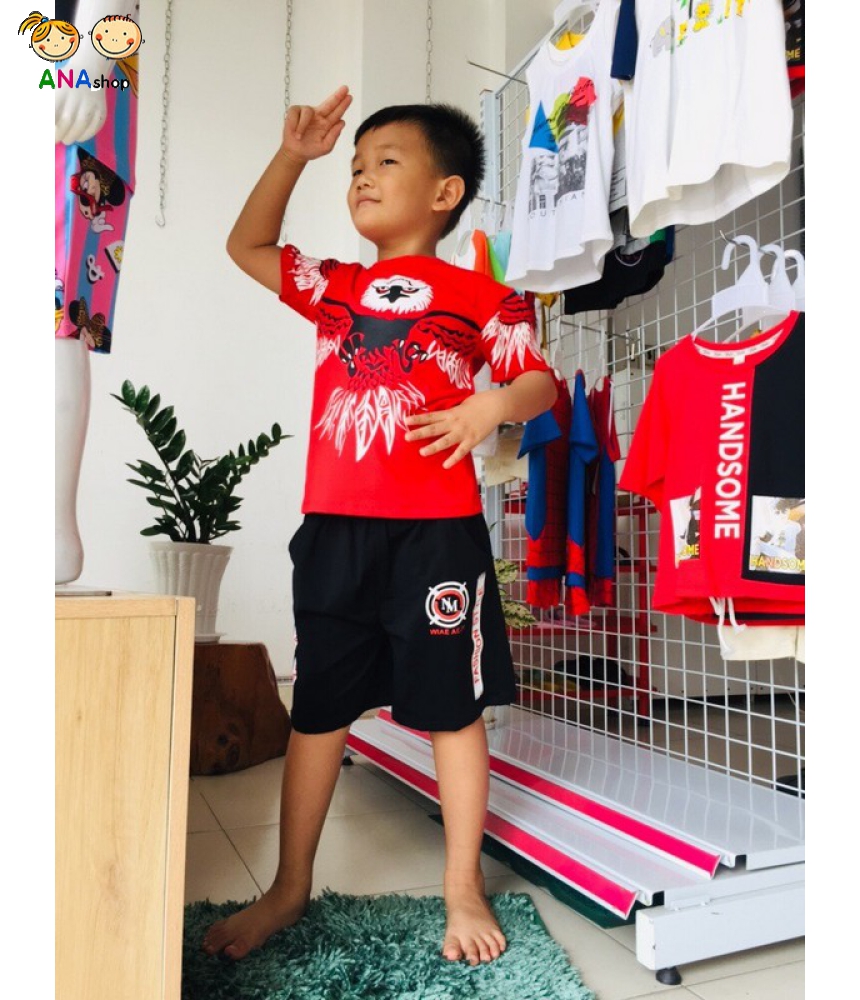 3723130 - (S1.8) Hiphop TC in đại bàng, thun cotton 4 chiều