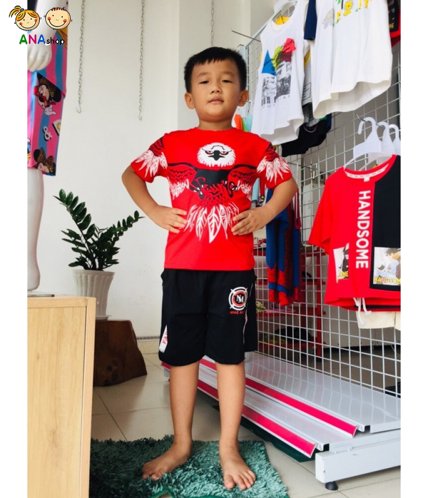 3723130 - (S1.8) Hiphop TC in đại bàng, thun cotton 4 chiều